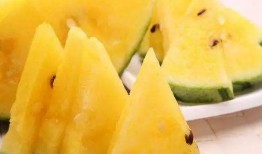 吃瓜爆料短剧 吃瓜黑料精品一区,一区黑料大揭秘，揭秘娱乐圈背后的真相